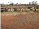 ‘Nalbarra Station’, Mount Magnet WA 6638