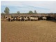 ‘Nalbarra Station’, Mount Magnet WA 6638