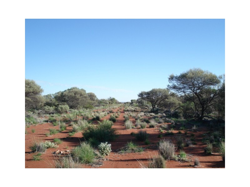 ‘Nalbarra Station’, Mount Magnet WA 6638