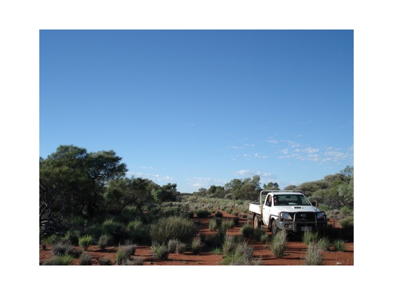 ‘Nalbarra Station’, Mount Magnet WA 6638