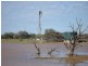 ‘Nalbarra Station’, Mount Magnet WA 6638