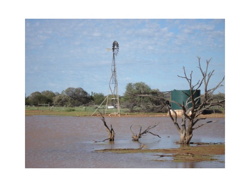 ‘Nalbarra Station’, Mount Magnet WA 6638
