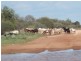‘Nalbarra Station’, Mount Magnet WA 6638
