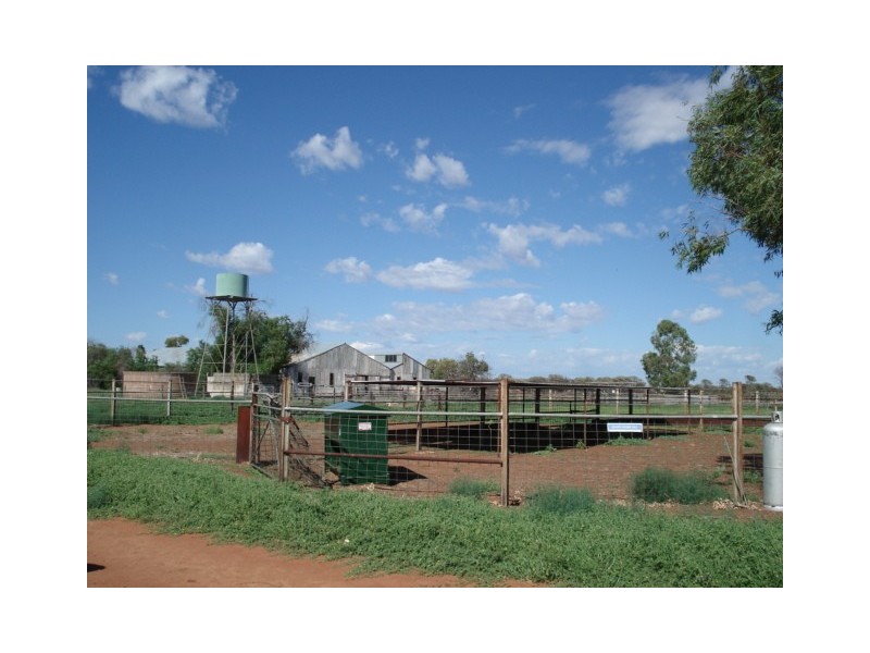 ‘Nalbarra Station’, Mount Magnet WA 6638