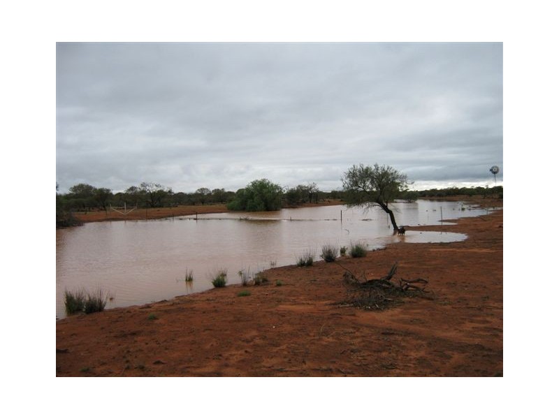 ‘Nalbarra Station’, Mount Magnet WA 6638