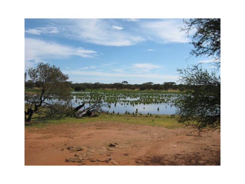 ‘Nalbarra Station’, Mount Magnet WA 6638