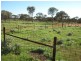‘Nalbarra Station’, Mount Magnet WA 6638