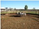 ‘Nalbarra Station’, Mount Magnet WA 6638