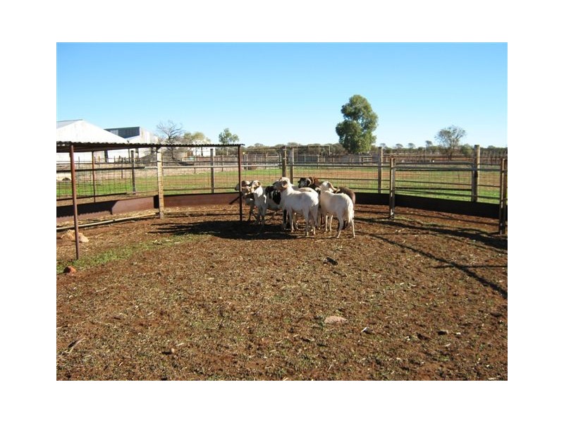 ‘Nalbarra Station’, Mount Magnet WA 6638