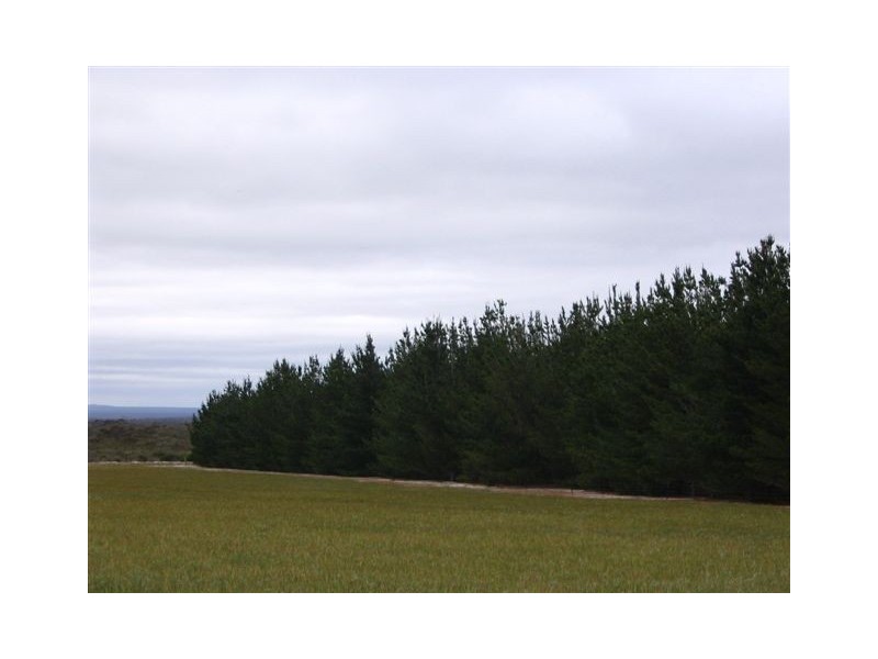 ‘South Jacup’ 2 Jacup Road South, Jacup WA 6337