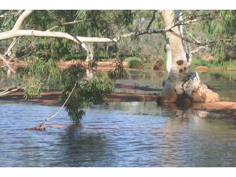 . Yinnetharra and Mt Phillip, Carnarvon WA 6701