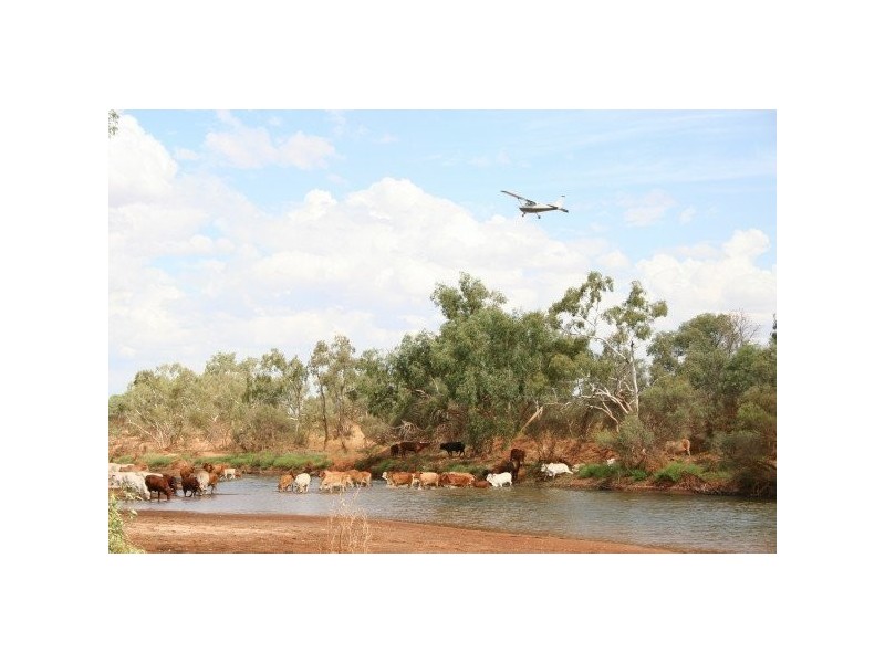 . Yinnetharra and Mt Phillip, Carnarvon WA 6701