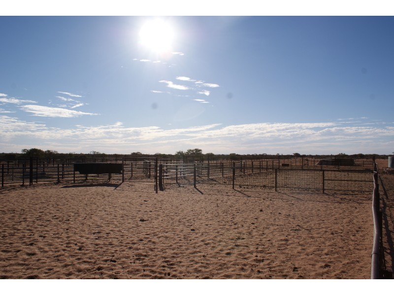 . Yinnetharra and Mt Phillip, Carnarvon WA 6701