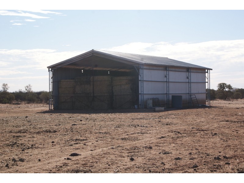 . Yinnetharra and Mt Phillip, Carnarvon WA 6701