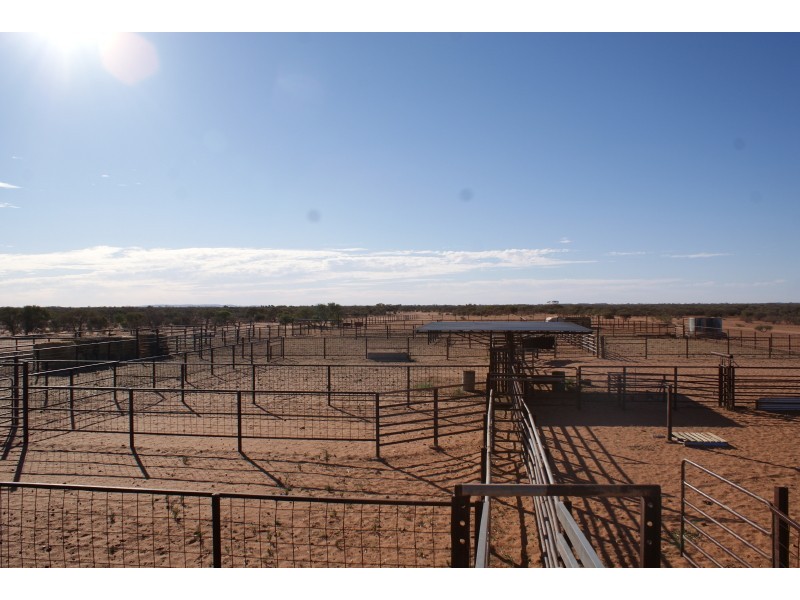 . Yinnetharra and Mt Phillip, Carnarvon WA 6701