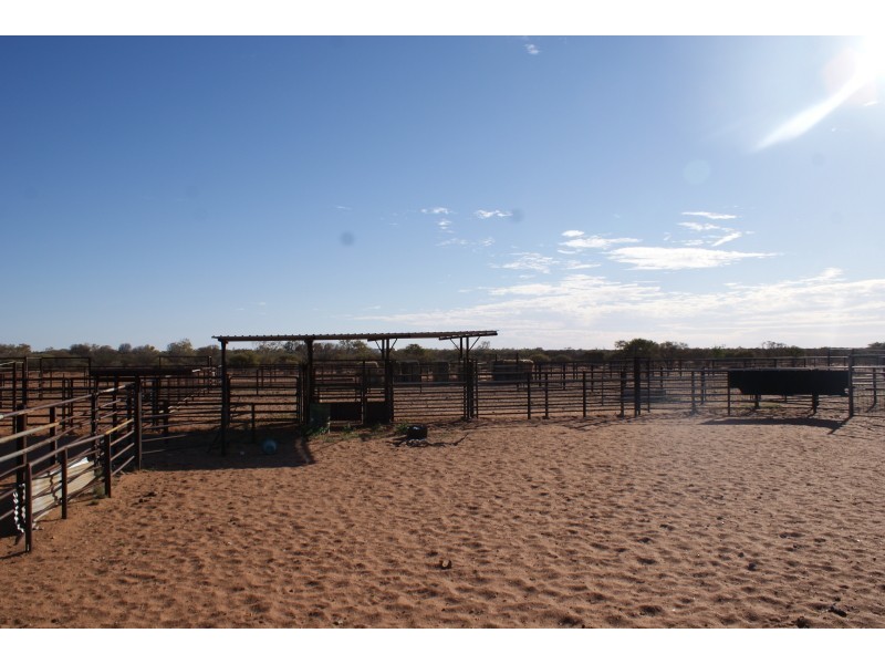 . Yinnetharra and Mt Phillip, Carnarvon WA 6701