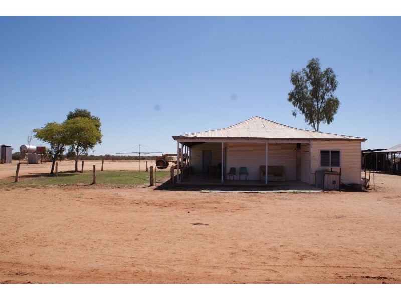 . Yinnetharra and Mt Phillip, Carnarvon WA 6701