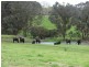 Lot 12 Balbarrup Road, Manjimup WA 6258