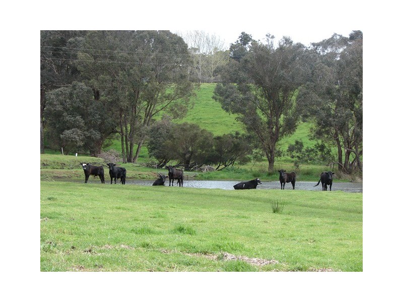 Lot 12 Balbarrup Road, Manjimup WA 6258