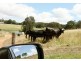 Lot 12 Balbarrup Road, Manjimup WA 6258