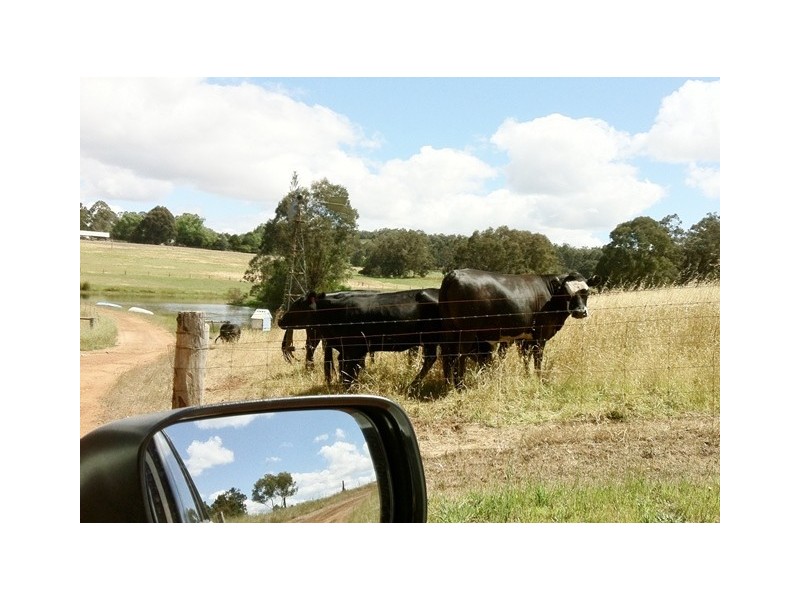 Lot 12 Balbarrup Road, Manjimup WA 6258