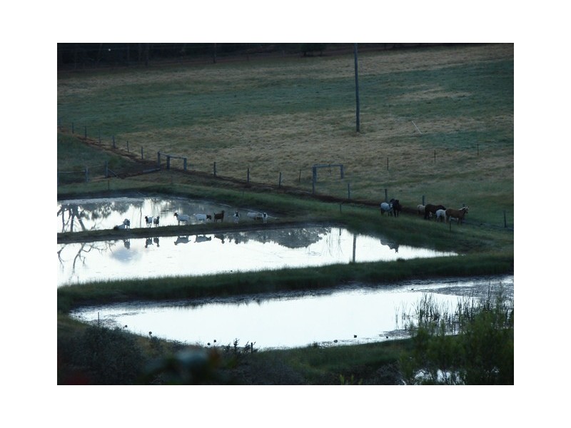 Lot 12 Balbarrup Road, Manjimup WA 6258