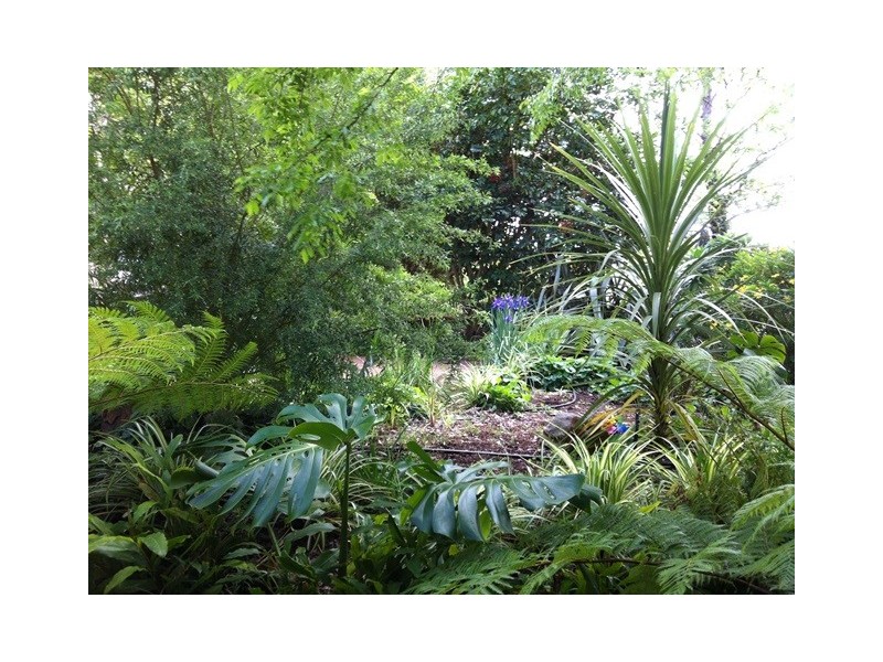 Lot 12 Balbarrup Road, Manjimup WA 6258