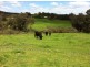 Lot 12 Balbarrup Road, Manjimup WA 6258