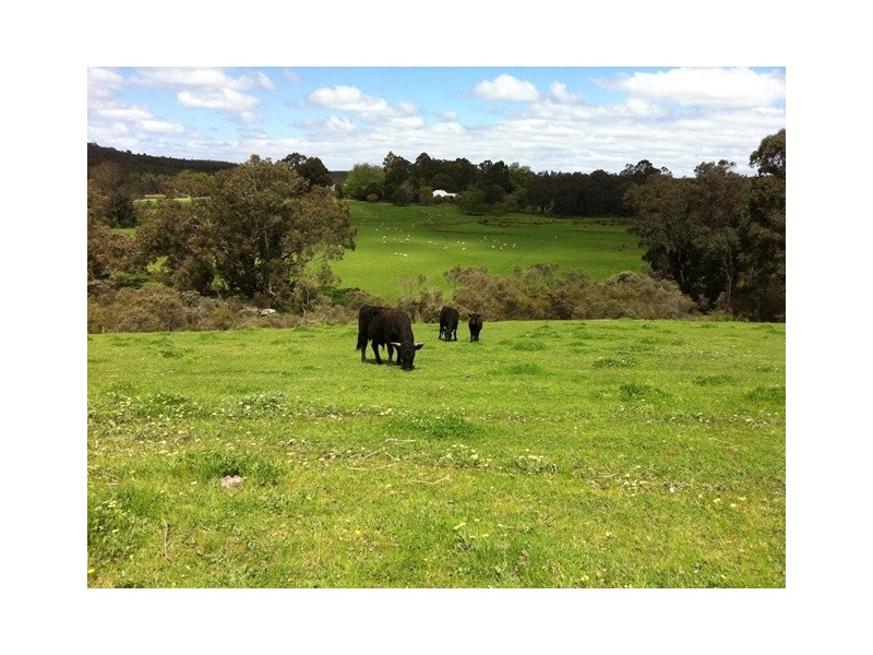 Lot 12 Balbarrup Road, Manjimup WA 6258