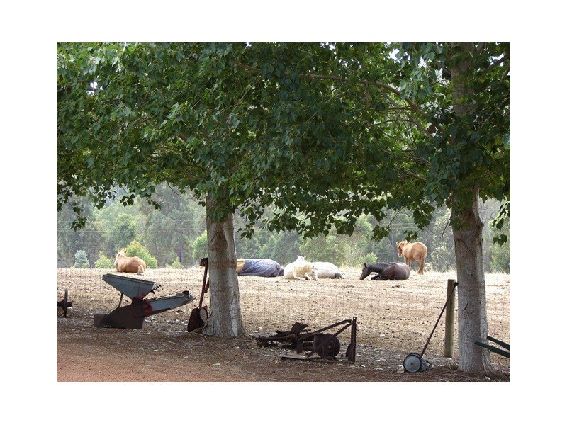 Lot 12 Balbarrup Road, Manjimup WA 6258