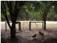 Lot 12 Balbarrup Road, Manjimup WA 6258