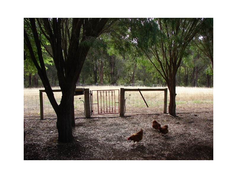 Lot 12 Balbarrup Road, Manjimup WA 6258