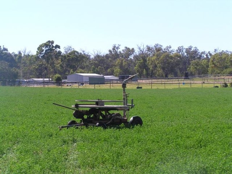 Lot 1175 Old Coast Road, Lake Clifton WA 6215