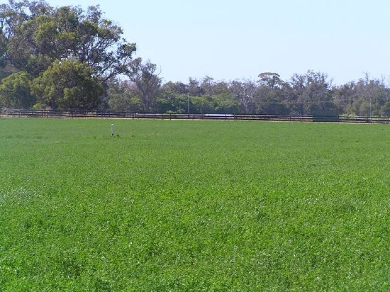 Lot 1175 Old Coast Road, Lake Clifton WA 6215