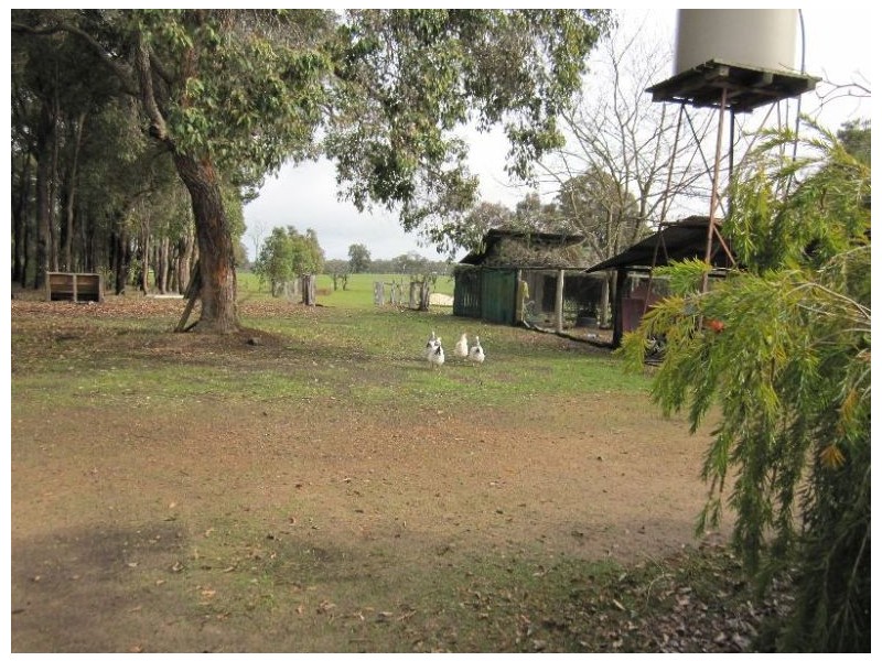 403 Junction Road, Manjimup WA 6258