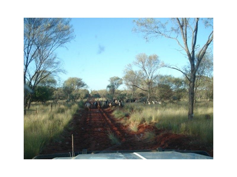 ‘YALBALGO STATION’, Carnarvon WA 6701