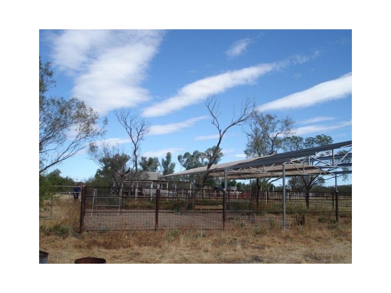 ‘YALBALGO STATION’, Carnarvon WA 6701
