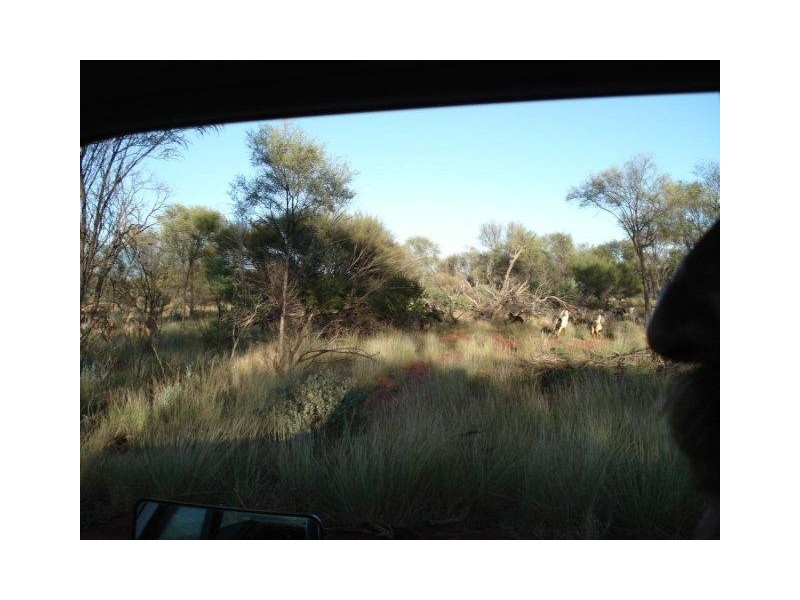 ‘YALBALGO STATION’, Carnarvon WA 6701