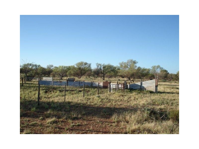 ‘YALBALGO STATION’, Carnarvon WA 6701 Primaries Real Estate Withdrawn