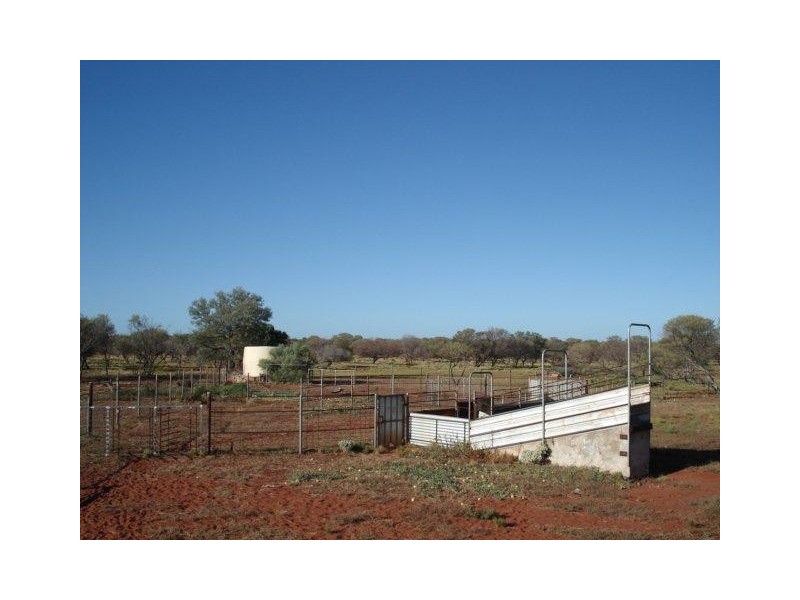 ‘YALBALGO STATION’, Carnarvon WA 6701