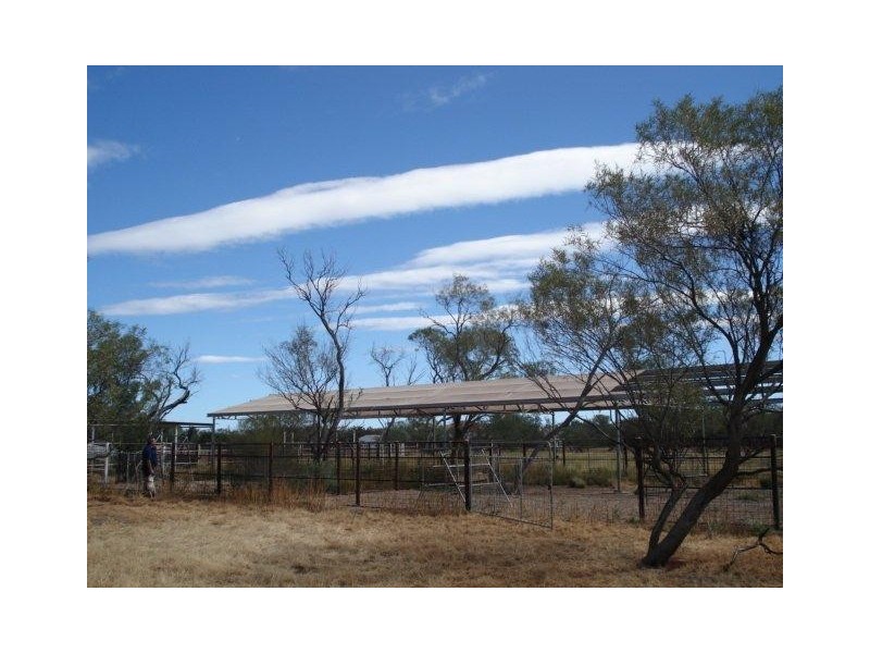 ‘YALBALGO STATION’, Carnarvon WA 6701 Primaries Real Estate Withdrawn