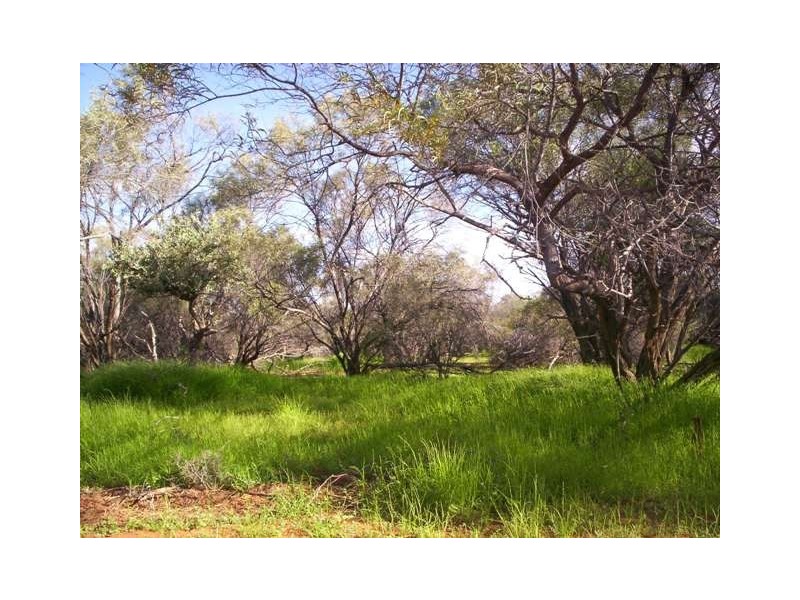 ‘YALBALGO STATION’, Carnarvon WA 6701