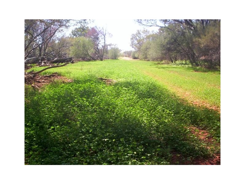 ‘YALBALGO STATION’, Carnarvon WA 6701