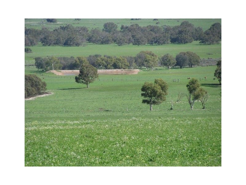 ‘Hill Crest’ 556 Waddi Road, Cooljarloo WA 6507