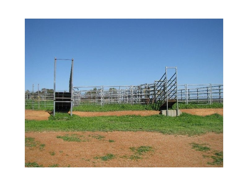 ‘Hill Crest’ 556 Waddi Road, Cooljarloo WA 6507