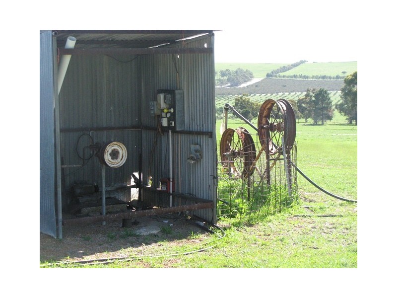 ‘Hill Crest’ 556 Waddi Road, Cooljarloo WA 6507