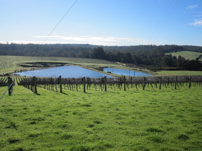 ‘Koolama’ 357 Franklin Road, Manjimup WA 6258