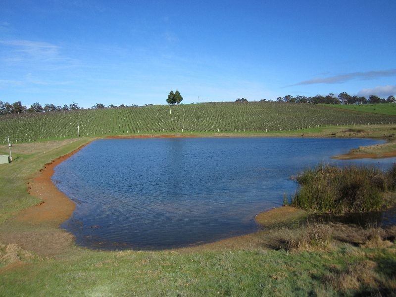 ‘Koolama’ 357 Franklin Road, Manjimup WA 6258