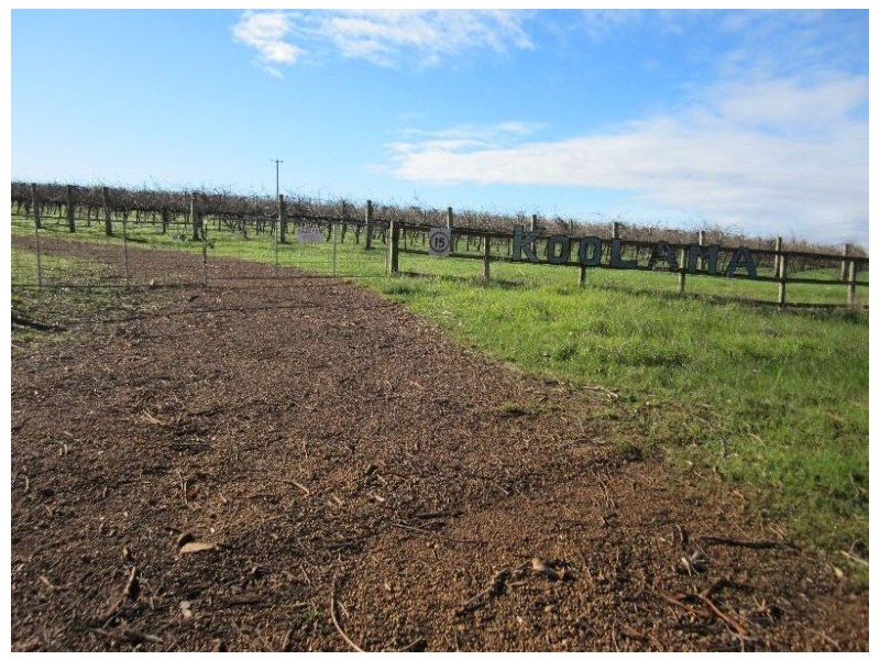 ‘Koolama’ 357 Franklin Road, Manjimup WA 6258