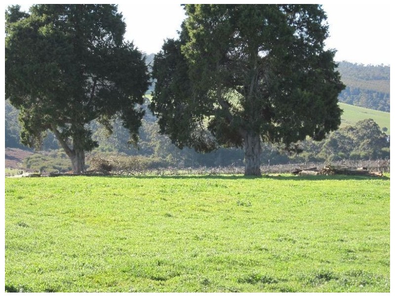 ‘Koolama’ 357 Franklin Road, Manjimup WA 6258